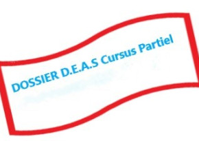 DOSSIER INFORMATION DEAS JANVIER CURSUS PARTIEL AVEC OU SANS APPRENTISSAGE